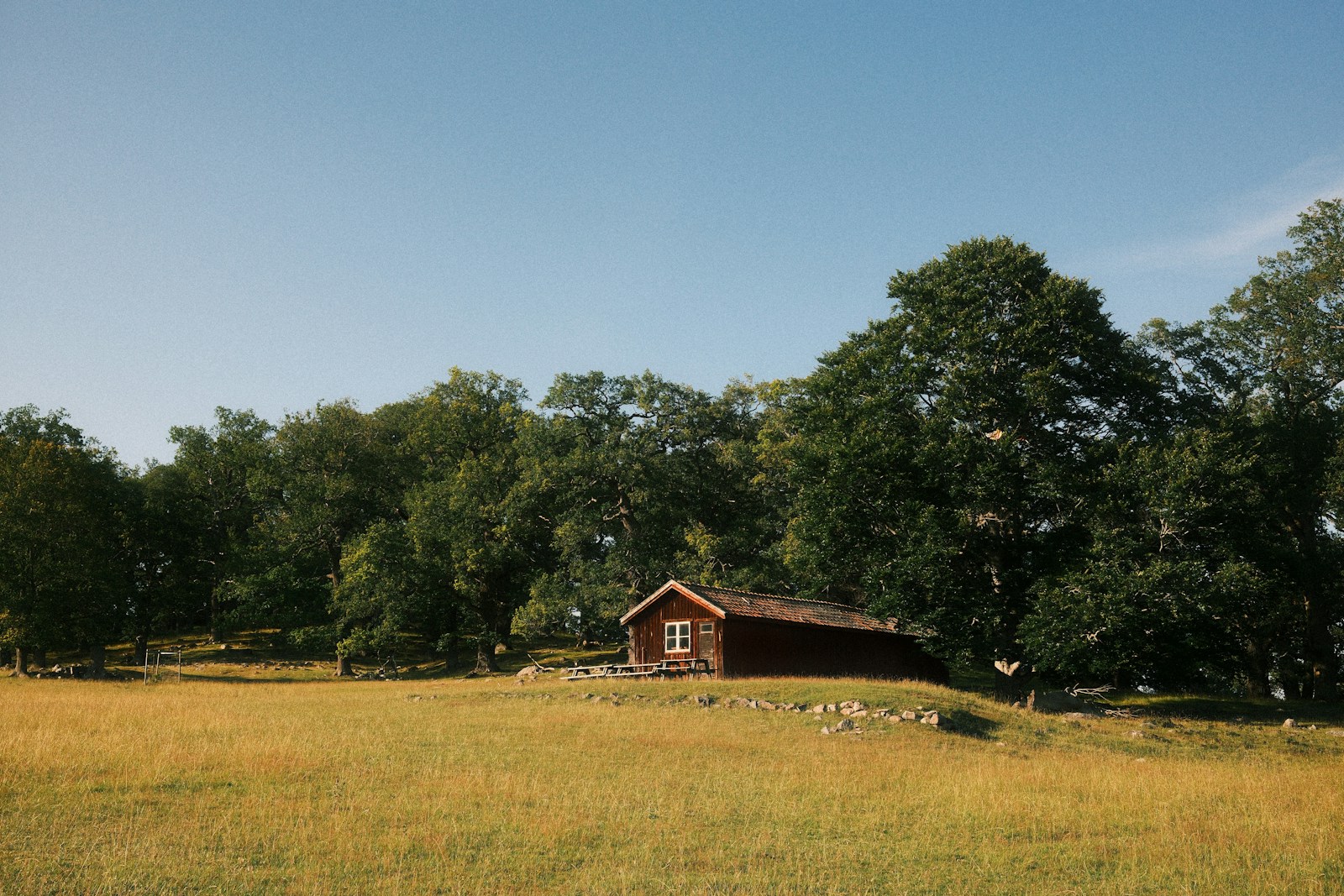 A small wooden cottage in a meadow beside a Swedish woodland.